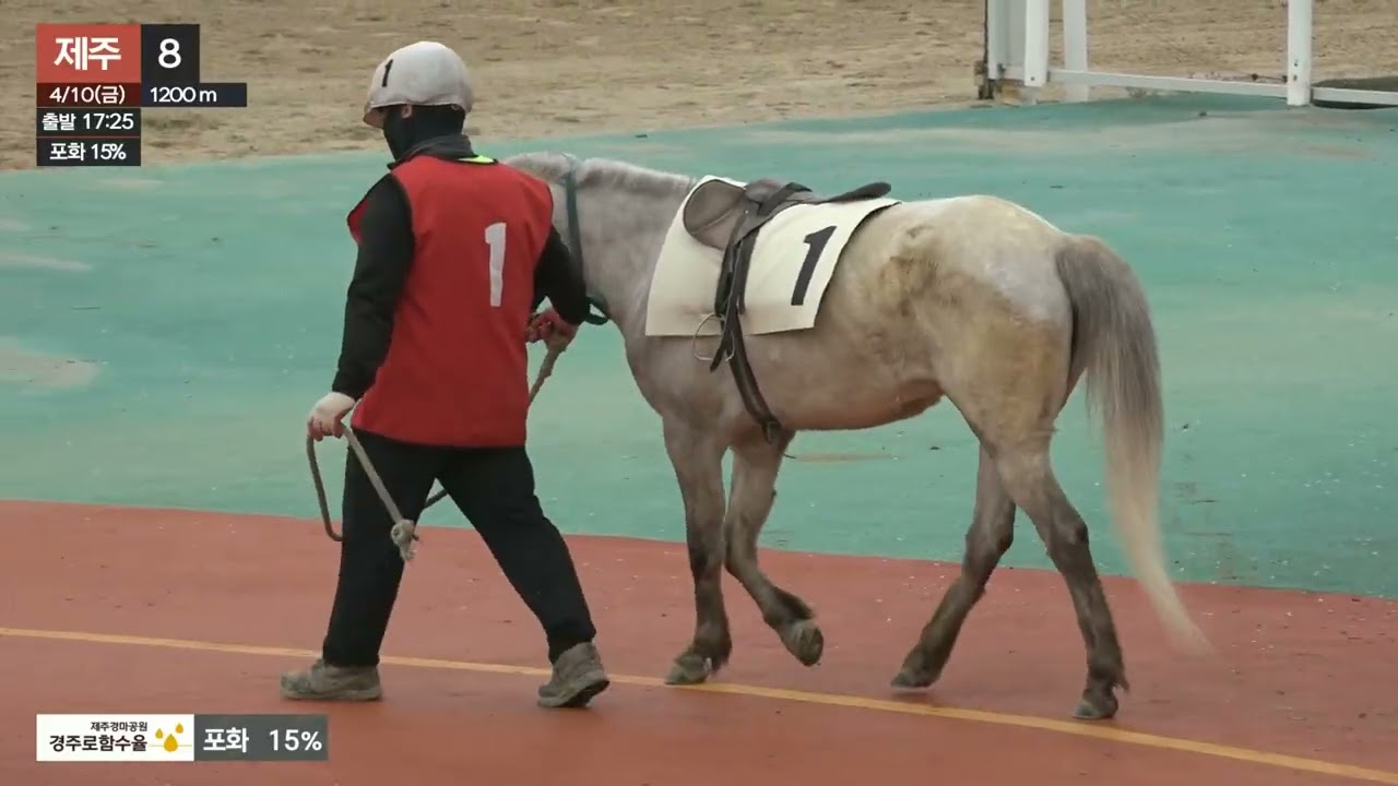 (예시/제주) 2026.04.10 8경주