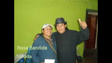 Rosa Bandida