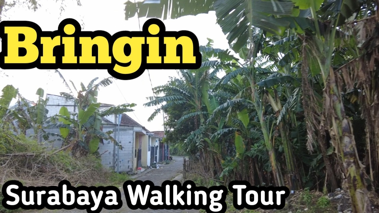 Walking in Bringin, Surabaya Walking Tour