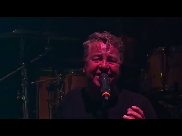 Pink Project - Comfortably Numb (live in Zuiderparktheater) class=