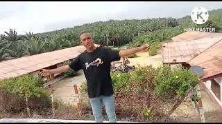 Lagu Dansa  Dansa Timor Masi Olarinda  Abitu Gama  Cover Yann Seran  Musik Ladis Mali