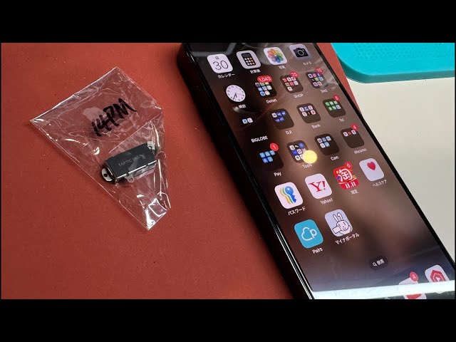 ゴロゴロ先生（iPhone本体） iPhone11Pro 本体256㎇