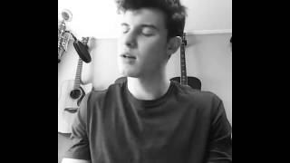 Shawn Mendes-Roses
