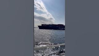 Container ship! #fyp #vessel #boat #sea #ship