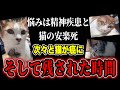 【猫の安楽死】精神疾患の悩み…そして次々と飼い猫がガンになる…安楽死の選択は正しいのか？(2026/05/18) #だっすー #kick #切り抜き #相談凸 