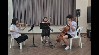Spsm Trio W.a. Mozart Allegro From Ganz Kleine Nachtmu.
