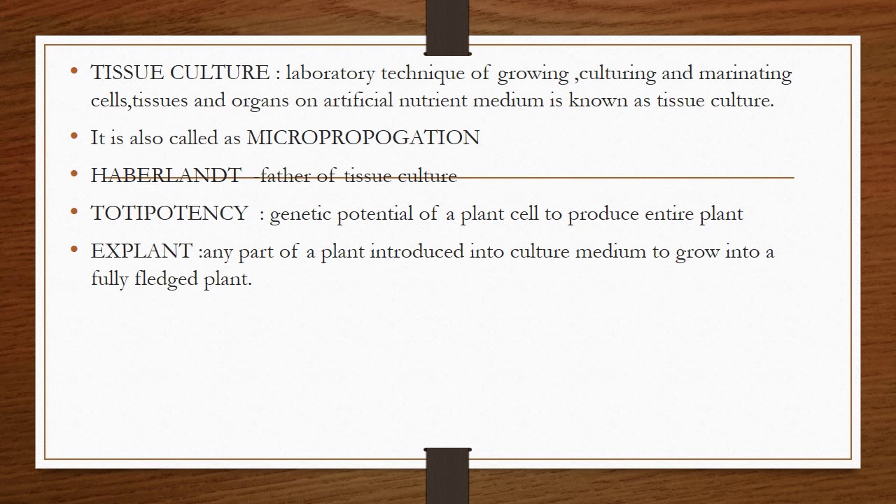 Plant tissue culture 