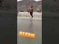 秒で笑えるww#shorts
