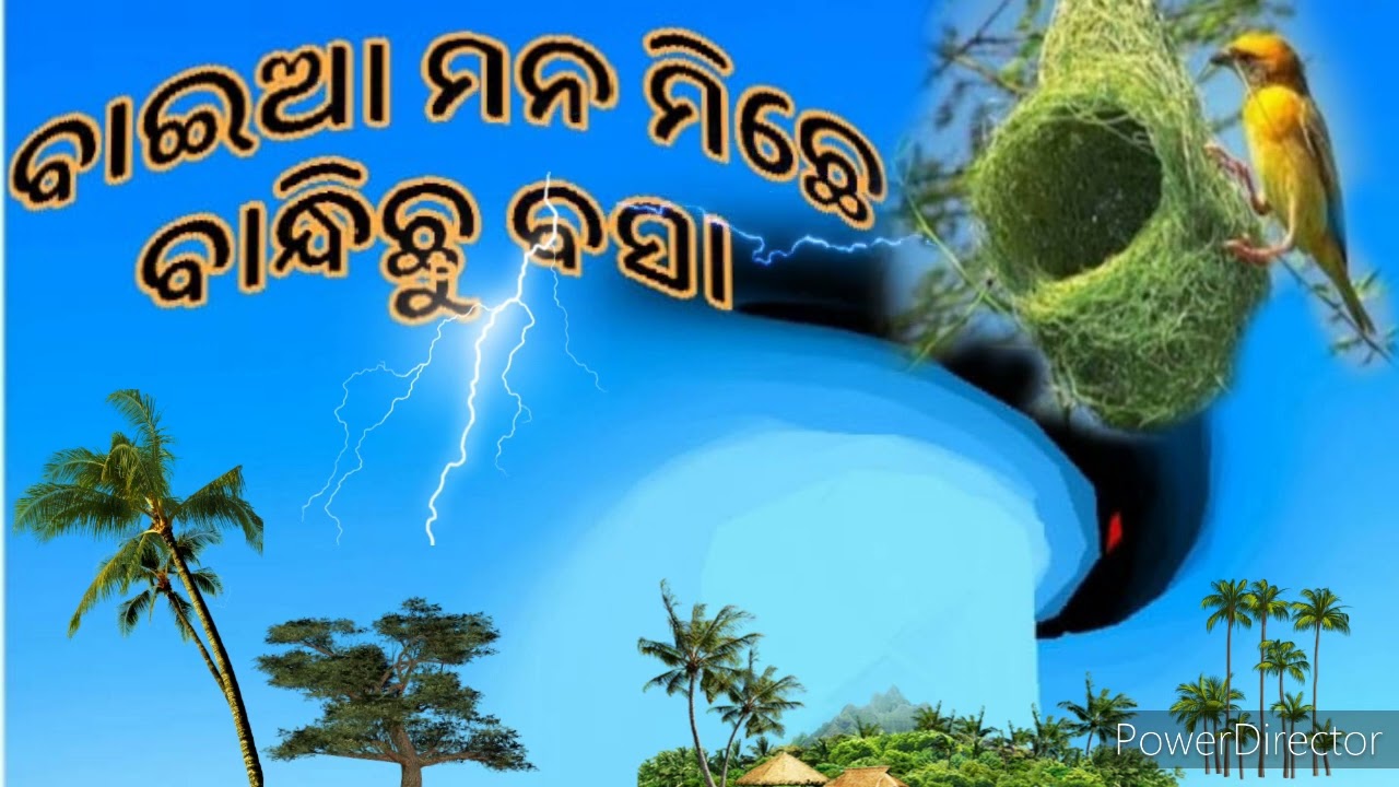 Baia mana michhe bandhichhu asha, Devotional bhajan, papular song,