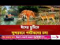 পর্যটকদের পদচারণায় মুখর সুন্দরবন | Sundarban Tourism | Independent TV
