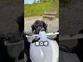 キラキラな未来夢に見てるいぬ🐶🐾❣️