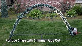Information Davis Family Christmas Short Arch Test News