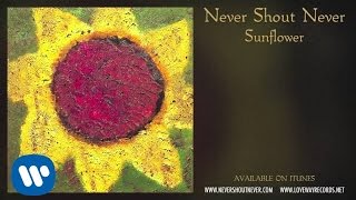 Never Shout Never - "New Sound"