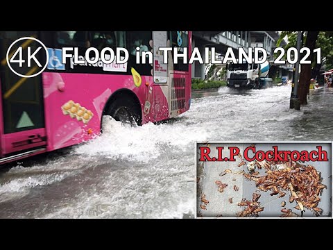 [4K] Walking in Rainstorm in Bangkok (Asok to Nana), Thailand