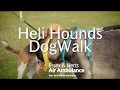 Heli Hounds Spring 2018