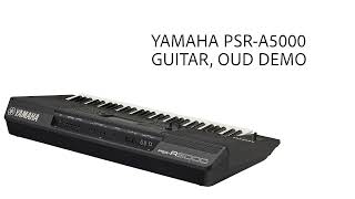 YAMAHA PSR-A5000. Tiko Igityan Guitar & Oud Solo