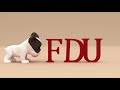 FDU Masters of Animation