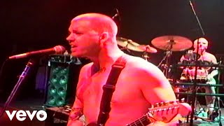 Sublime - We're Only Gonna Die For Our Arrogance (Live At The Palace/1995)