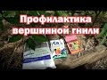 Когда и как делать профилактику вершинной гнили на томатах?