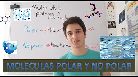 ¿El H2O es una molécula polar o no polar?