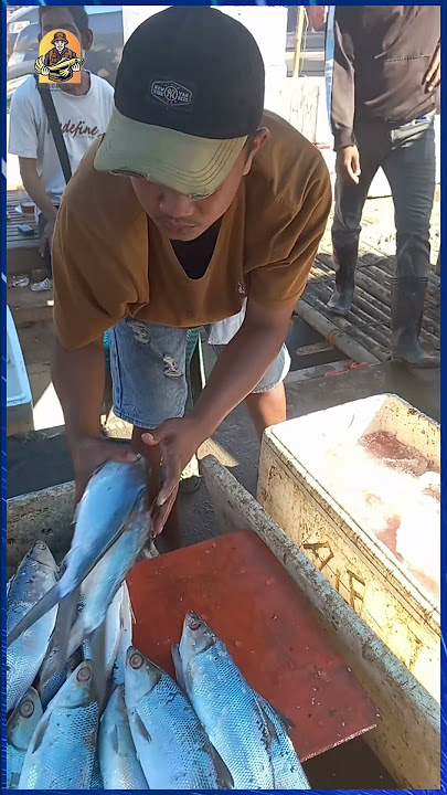 Sang Juragan Pilih-pilih Ikan Bandeng Segar dan Besar