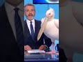 pellicano liberato