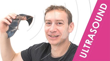 Ultrasound Scanning - GCSE Physics