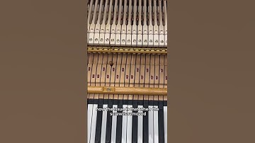 PLEASE CLICK ON THE ABOVE LINK FOR THE FULL VIDEO