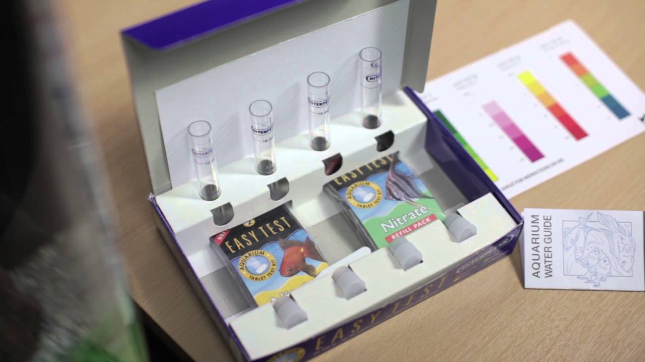 How to Test pH using an Interpet Easy Test Kit YouTube