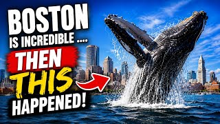 Boston - You Really Must See This City With Us