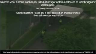Hamerton Zoo: Female zookeeper killed after tiger enters enclosure at Cambridgeshire wildlife park