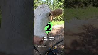 360 Camera Every Rider Needs
