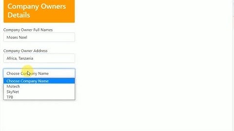 How To Create Select Dropdown in React JS With Fetched Data From API
