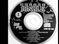 Video thumbnail for Bay B Kane - Jungle Warriors