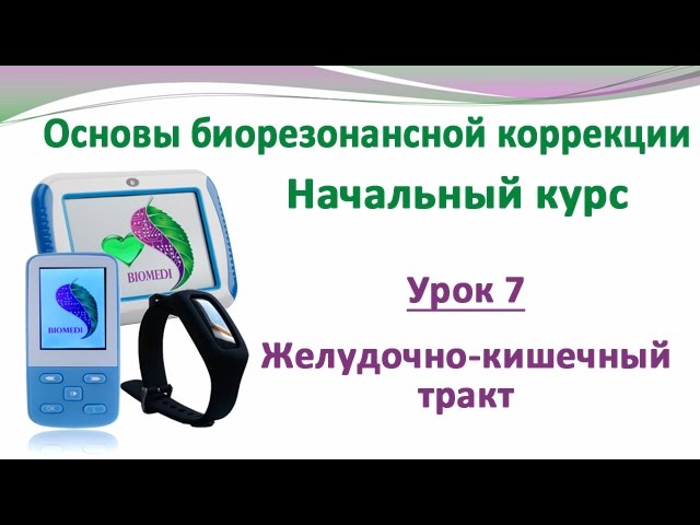 ® Приборы БИОМЕДИС | BIOMEDIS. Начальный курс. Урок 7. Желудочно-кишечный тракт (ЖКТ)