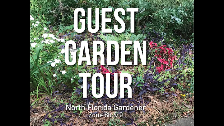 Zone 8b & 9  Tour of Susan Chelf's Garden
