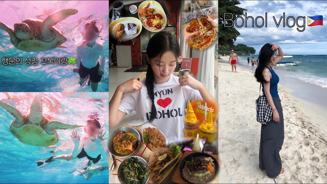 Vlog. 보홀 여행 브이로그 🇵🇭 EP.2 호핑투어•거북이랑 수영하기•졸리비🍔🍗•할로망고🥭🍦•병원 입사 전 마지막 여행