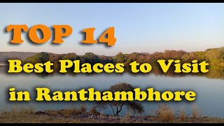 TOP 14 Best Places to Visit in Ranthambore National Park