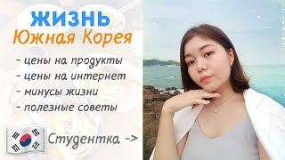 Сколько стоит Жизнь в Корее? | Простыми словами