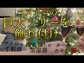 {Vlog}コストコの巨大クリスマスツリーを飾る