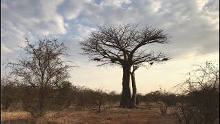 Winter in Africa | Travel Vlog