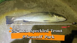 26-Inch Speckled Trout at Seawolf Park