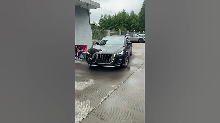 Hongqi brand new H5 - Auto China - 天天要闻