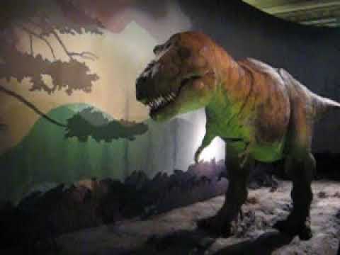 T-rex at National Science Museum (London) ලන්ඩන් කෞතුකාගාරයේ ඩයිනෝසරයෙක්