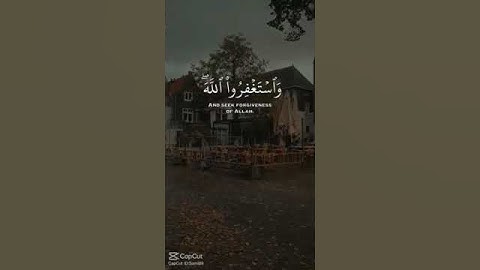 قران كريم تلاوه هادئه استغفر الله العظيم واتوب اليه #لايك