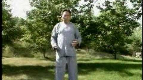 Feng Zhi Qiang - Xinyi Hunyuan Taiji Internal Training 1