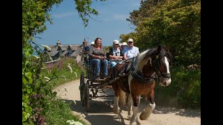 Sark Carriages