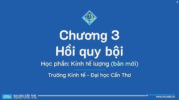 KINH TẾ LƯỢNG | C3 HỒI QUY BỘI | NGUYỄN HỮU THOẠI