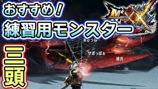 【MHXXNS実況】上達する為の練習用モンスター三頭【モンハンダブルクロス スイッチ Ver】