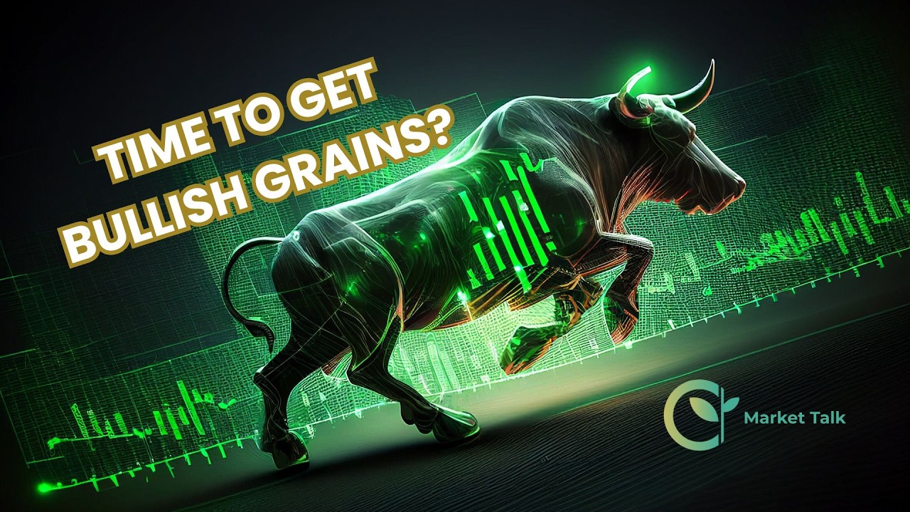 Are the Grain Market Bulls Back in Action?